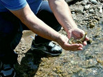 Выпуск молоди каспийского лосося (ручьевой форели) в реку Терек