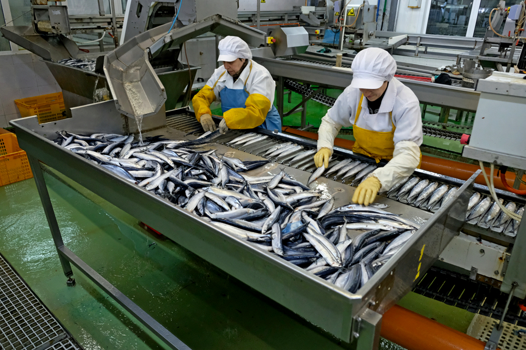 Производство в России продукции высокого передела заметно выросло: мяса рыб – почти на 130%, филе рыб – на 48,5%