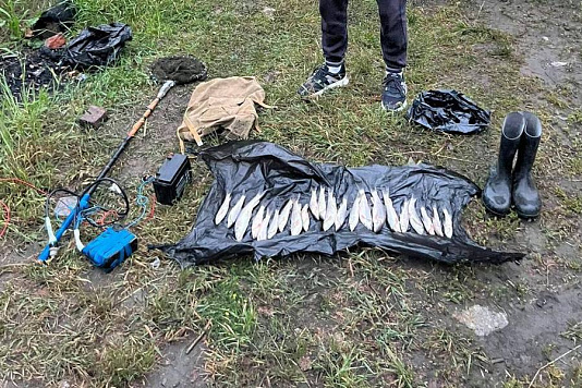 Браконьер с электроудочкой задержан на реке чёрная в РСО-Алания