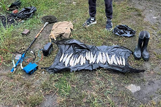 Браконьер с электроудочкой задержан на реке чёрная в РСО-Алания