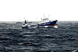 Вниманию судовладельцев и рыбопромысловых компаний